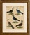 Gold Bertuch, Crested Birds, 1800, Engraving For Sale - Image 8 of 9