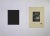 Le Cerisier is an artwok realized in 1902 by the French Artist Paul Emile Colin . Black and white woodcut on paper. Hand...
