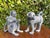Mid-Century Modern Vintage Cast Bronze Monkey Sculptures, 7.25”, Pair For Sale - Image 3 of 12