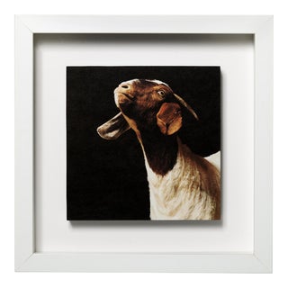 Framed Giclee Print, Ellie Mae For Sale