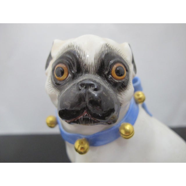 Meissen Porcelain Meissen Porcelain Pug Dog With Blue Collar & Gold Bells Figurine Statue For Sale - Image 4 of 10