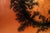 Bronze Life is an acrylic pouring painting on canvased cardboard realized by the Italian artist Amanda Ludovisi. Hand-...