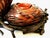 Antique Japanese Ikebana Flower Arranging 4-Gourd Hyotan Baskets of Bamboo For Sale - Image 11 of 18