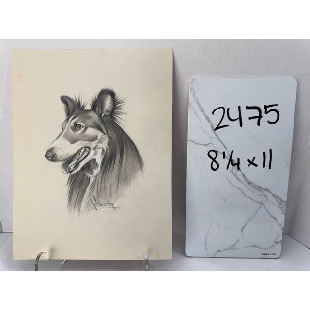 1940s Original Signed Graphite Portrait of Collie Dog, 1949, 11 × 8.25 In. For Sale In Atlanta - Image 6 of 6