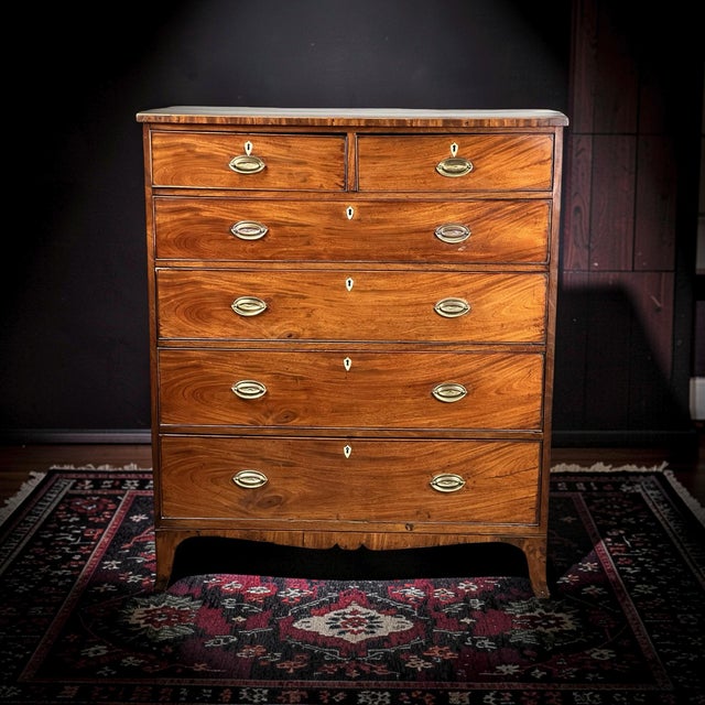 Antique George III Two Over Four Chest With French Feet C. Early 19th Century For Sale - Image 10 of 10