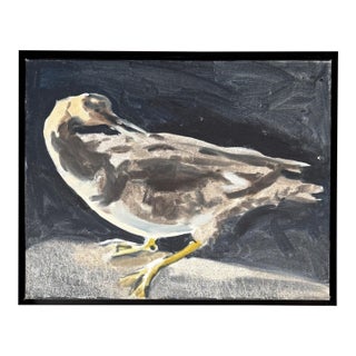American Mid-Century Portrait of a Bird - Oil Painting on Board of a Seagull For Sale