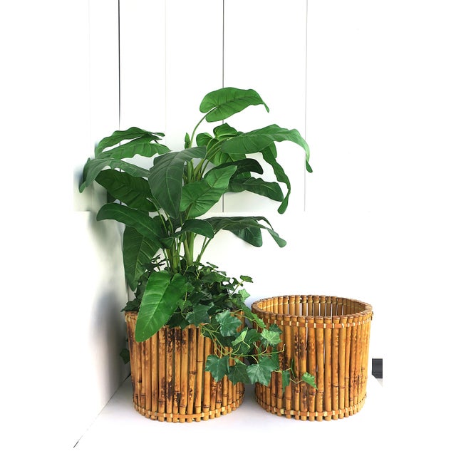 Late 20th Century Wicker Bamboo Planter Pot Holder Cachepot, 2 Avail, Circa Mid-Late 20th Century For Sale - Image 5 of 12