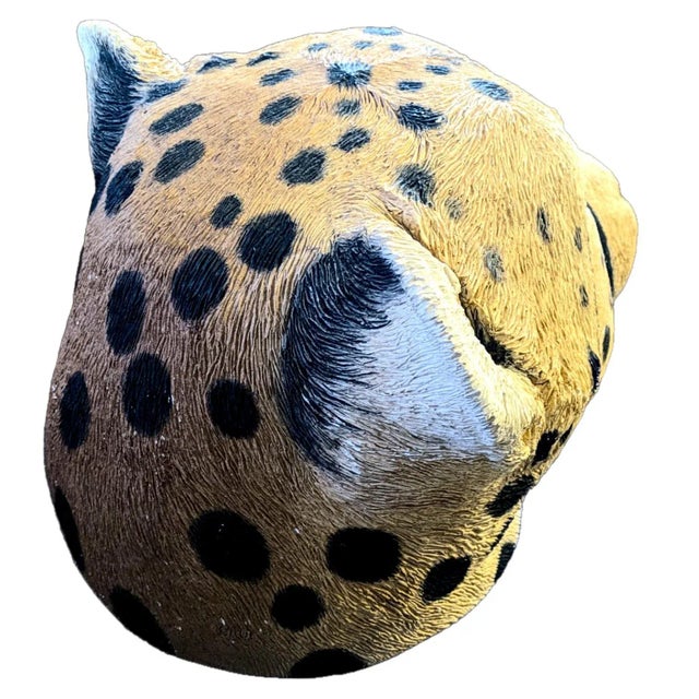 1985 Lifesize Sandicast Cheetah Head Bust Made in the U S A For Sale In Palm Springs - Image 6 of 8