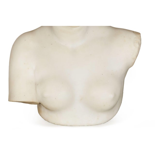 Grand Tour Marble Sculpture Statue Bust of Venus De Milo After the Antique For Sale - Image 9 of 15