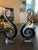 Set of 2 Contemporary Colored Blue Clear Gold Glass Sculptures For Sale - Image 4 of 10