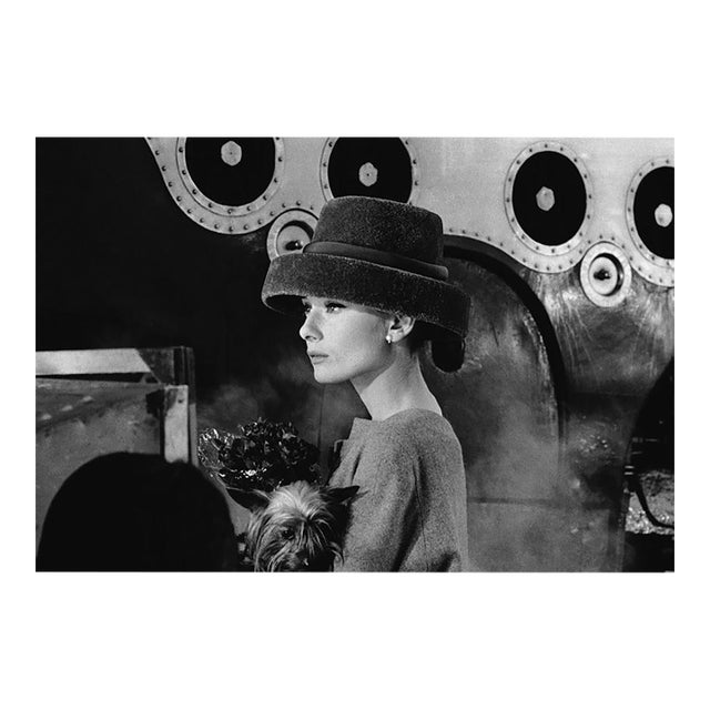 'Audrey's Funny Face' Unframed Archival Pigment Print For Sale