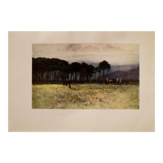 1905 Italian Original Print - The Pine Woods, Viareggio - From Book Florence & Some Tuscan Cities (1905) For Sale
