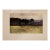 1905 Italian Original Print - The Pine Woods, Viareggio - From Book Florence & Some Tuscan Cities (1905) For Sale
