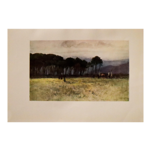 1905 Italian Original Print - The Pine Woods, Viareggio - From Book Florence & Some Tuscan Cities (1905)
