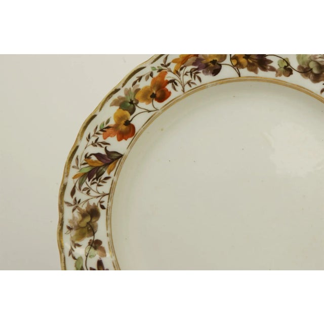 Fine pair of Royal Derby Porcelain plates marked on reverse with early painted crown above crossed batons and the letter...