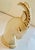 Vintage Art Deco Ceramic Gazelle Figurine in the ‘Style of Royal Haeger’, Circa 1930s For Sale In San Antonio - Image 6 of 10