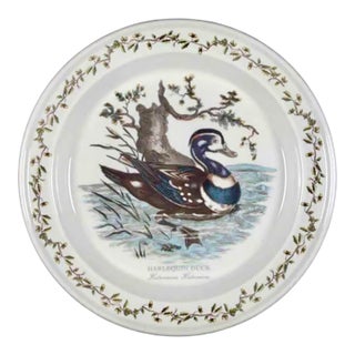 Vintage Portmeirion Birds of Britain Harlequin Duck Dinner Plate, Acorn & Leaf Rim For Sale