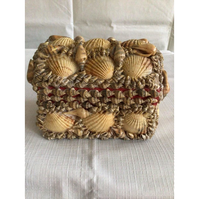 Contemporary 1970s Handmade Domed Top Shell Box For Sale - Image 3 of 11