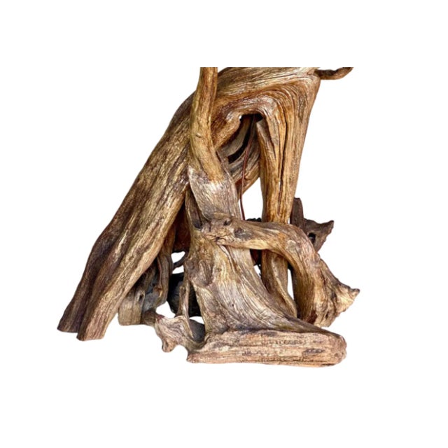Monumental Organic Driftwood Sculptural Table Lamp For Sale - Image 11 of 12