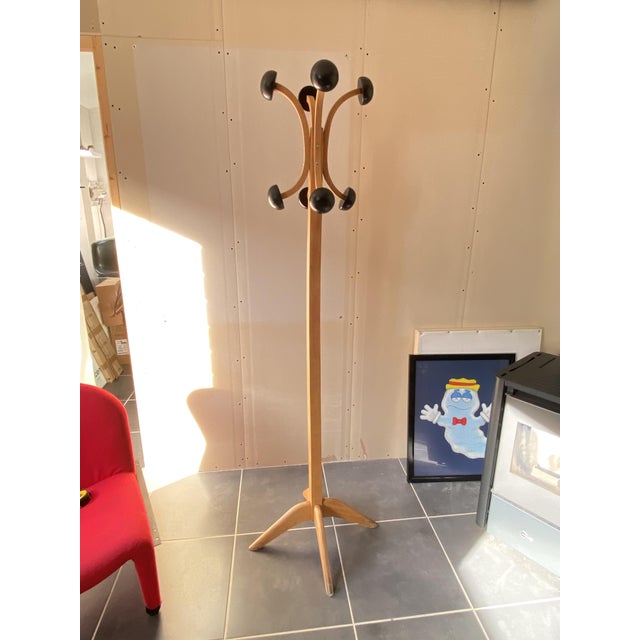 Vintage Stella Coat Rack in Beech, 1950s For Sale - Image 14 of 14