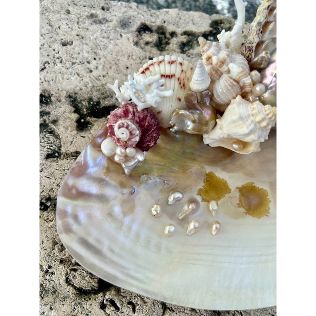 Contemporary CSS Small Seashell Catchall For Sale - Image 3 of 5