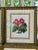 Set of 4 Original 19th-Century L’Illustration Horticole Botanical Chromolithographs by P. De Pannemaecker For Sale In Louisville - Image 6 of 12