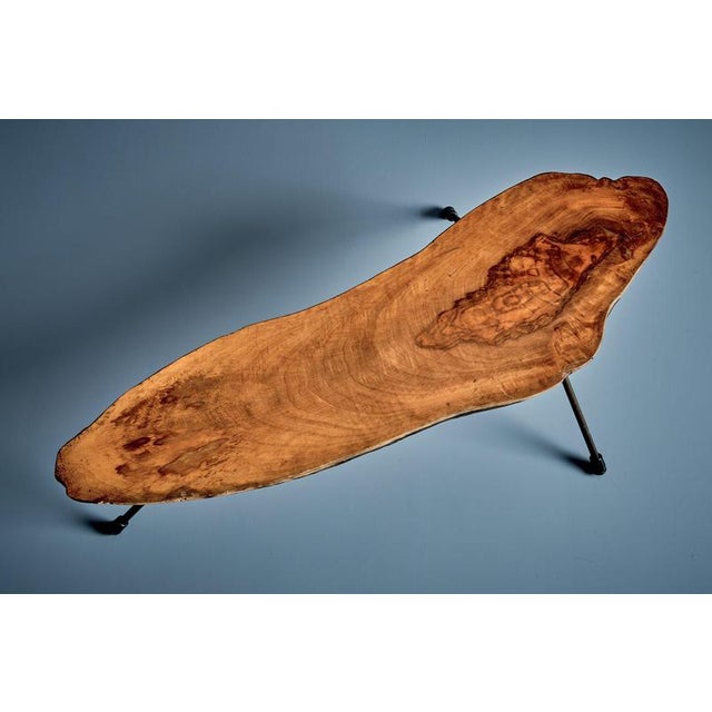 Wood Tree Trunk Coffee Table by Werkstätte Carl Auböck, Austria, 1950s For Sale - Image 7 of 12