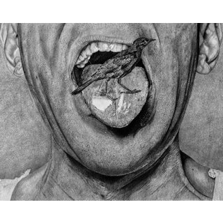 Feathered Tongue (2019) Original Charcoal Drawing by Emmanuel Akolo For Sale
