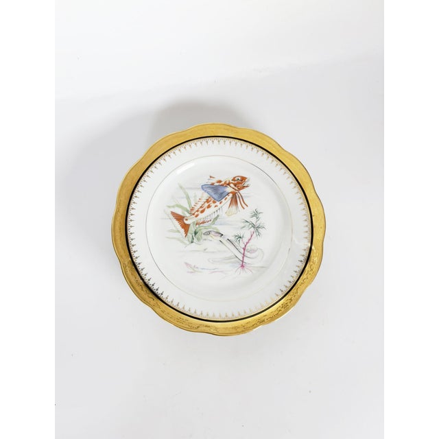 1970s Ceramic Plates with Fish Decoration, France, 1970s, Set of 3 For Sale - Image 5 of 17