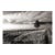 Landscape Digital Archival Print "North Tree" by Jacques Gael Cressaty 2025 For Sale