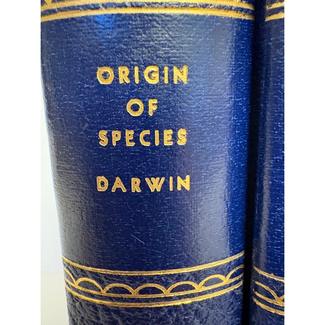 Harvard's Classic Gold Gilt Faculty Volumes 11-19, Copyright 1937-38 For Sale - Image 9 of 11