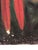Textile Vintage 1920s Original Parrot Bird Painting on Canvas For Sale - Image 7 of 12