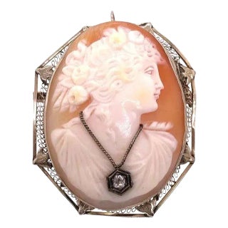 14 Karat White Gold Cameo Brooch and Pendant Woman Profile With Diamond Necklace For Sale