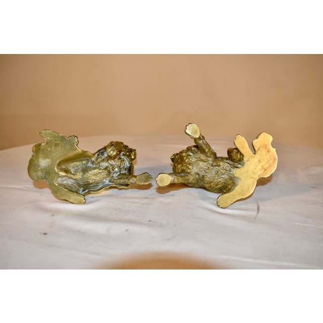 Metal Pair of 19th Century French Bronze Brussels Griffon Figures For Sale - Image 7 of 12