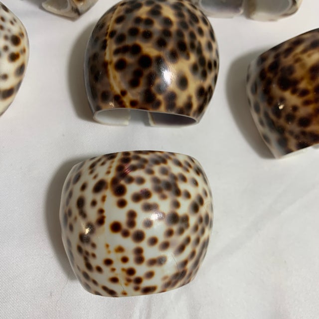 Bring effortless coastal elegance and warm organic texture to your tablescape with this stunning set of 6 vintage tiger...