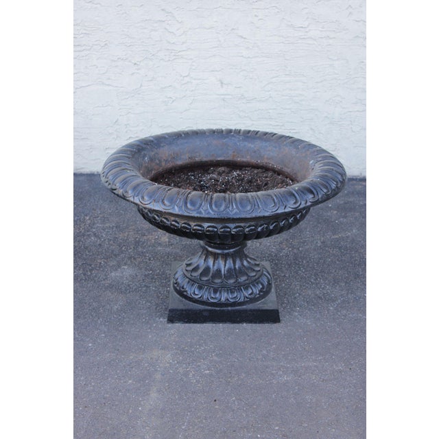 Large Cast Iron Pair Of Garden Urn Planters For Sale - Image 13 of 18