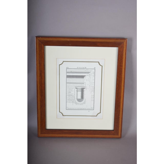 Architectural Illustrations of Classical Columns, 19th Century, Engravings, Framed, Set of 4 For Sale - Image 7 of 8