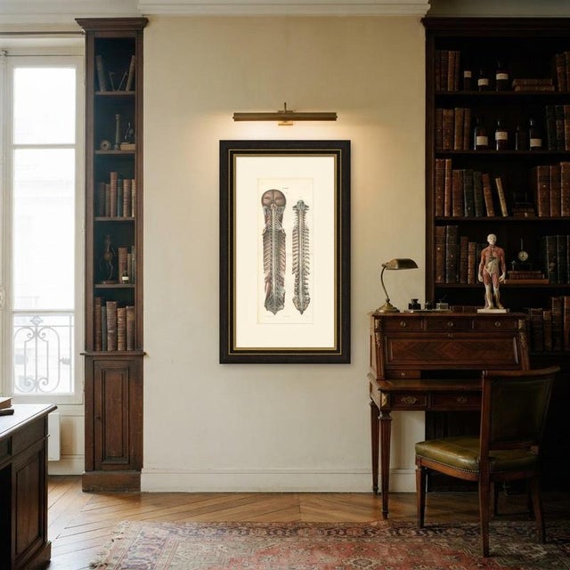 Hirschfeld and Leveille, Brain and Spinal Cord with the Spinal Nerves, 1866, Paper For Sale - Image 11 of 12
