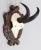 Wood Black Forest Chamois Antlers Hunting Trophy Mount For Sale - Image 7 of 7