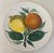 Italian Hand Painted Italian Dinner Plates, C. 1970's For Sale - Image 3 of 8