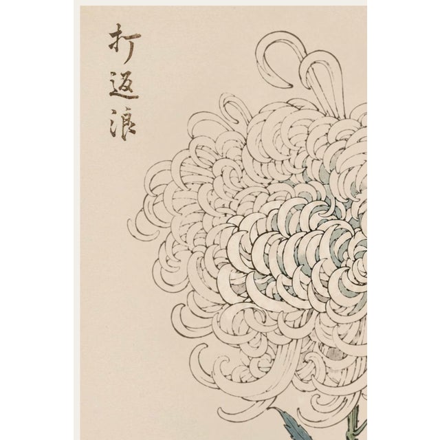 A refined example of late 19th-century Japanese botanical illustration, this vintage Japanese botanical art print...