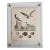 19th Century German Lithograph of Seagulls With Modern Acrylic Frame & Brass Hardware For Sale