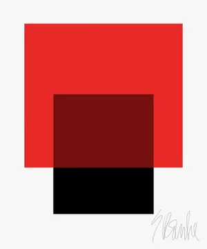 The Interaction of Red and Black Fine Art Print 30" X 40" by Liz Roache