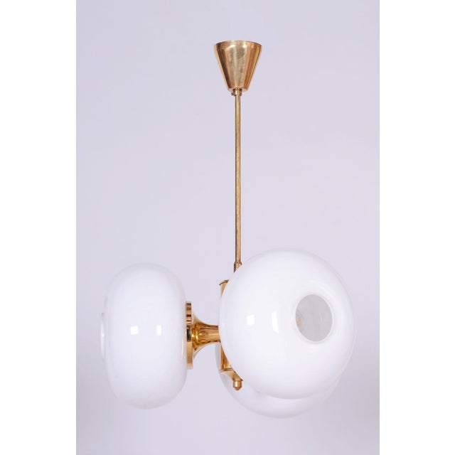 Mid-Century Chandelier in Brass and Glass by Kamenický Šenov, Czech, 1960s For Sale - Image 12 of 12