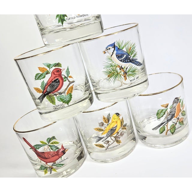Birdwatchers Songbird Lowball Glasses- Set of Six For Sale - Image 11 of 12