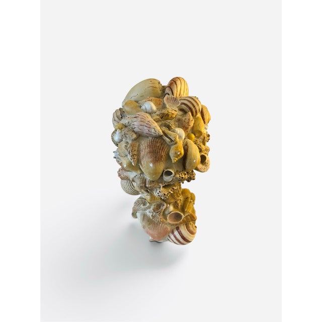 1970s Shell Encrusted Bust For Sale - Image 5 of 5