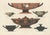 Albert Genick, Greek Kylix, Bowls & Warriors, 1883, Lithograph For Sale - Image 3 of 9
