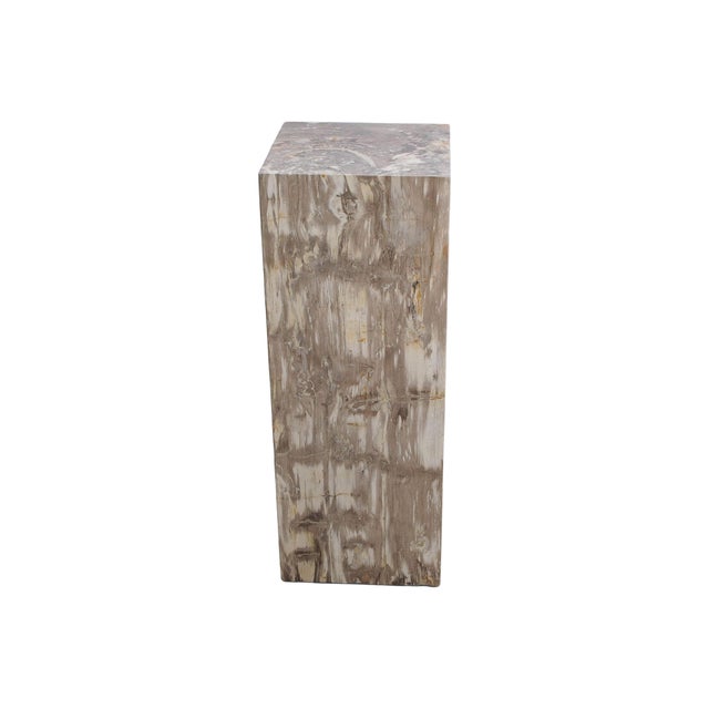 This elegant petrified wood pedestal is carved from a solid piece of fossilized wood that formed approximately 20 million...
