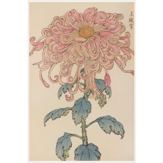 Pink Floral Giclee, Vintage Japanese Botanical Art Print, 20" X 30" For Sale