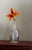 Elegant Baccarat crystal bud vase created for Tiffany & Co., featuring a graceful tapered silhouette, rounded shoulders,...